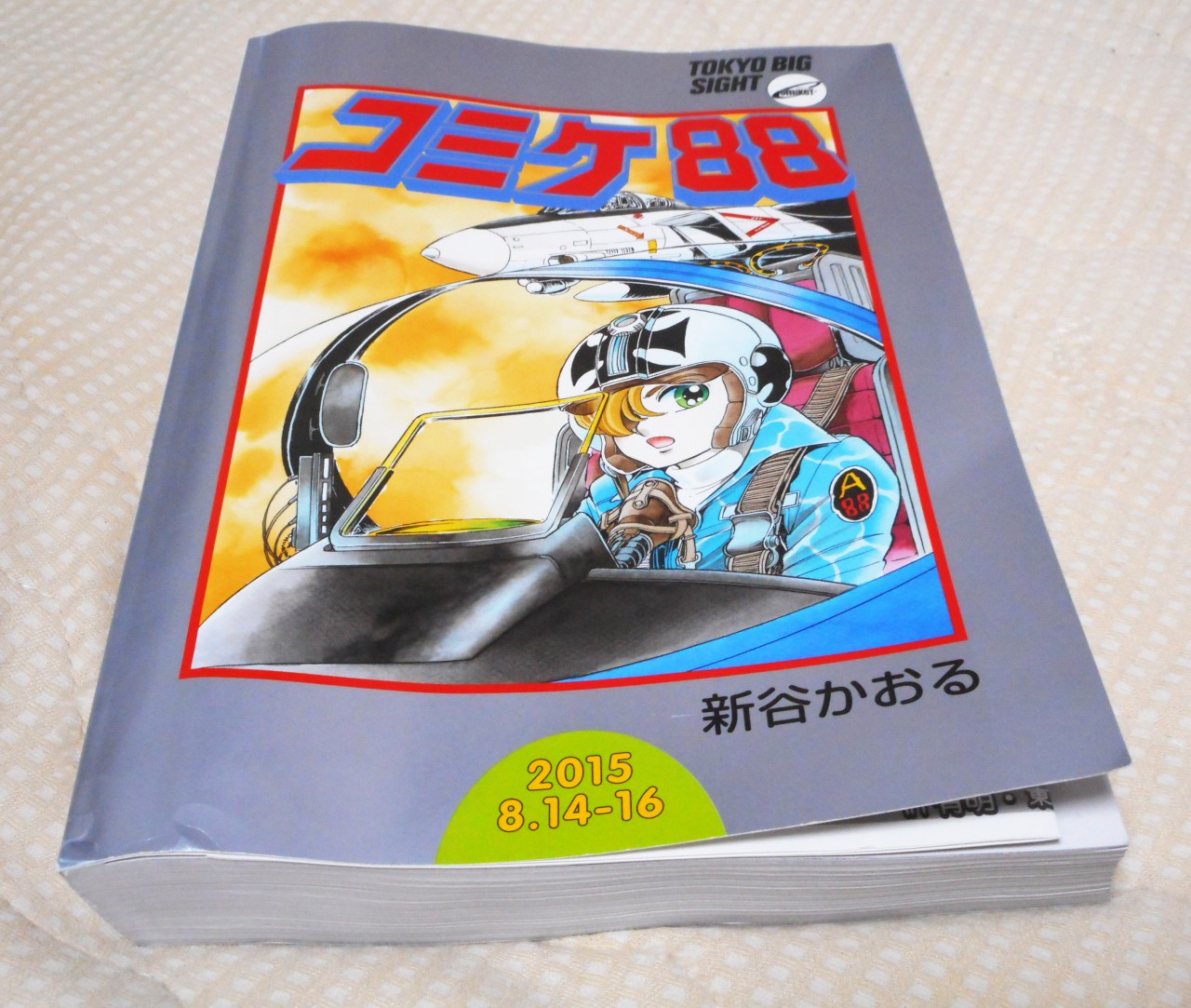 MANGA INSIDER MAYU SPECIAL "A DAY AT COMIKET" SILENT MANGA AUDITION®