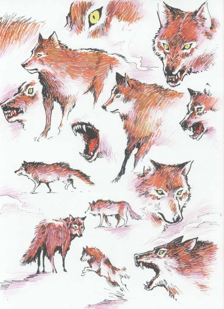 The scary wolf that will follow the boy in Kjati’s SMA-EX2 manga. The scary wolf that will follow the boy in Kjati’s SMA-EX2 manga.