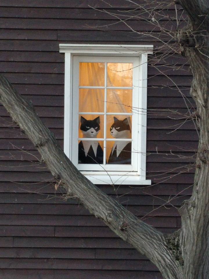 Achievement Unlocked. Found cat window in Ghibli Museum. Achievement Unlocked. Found cat window in Ghibli Museum.