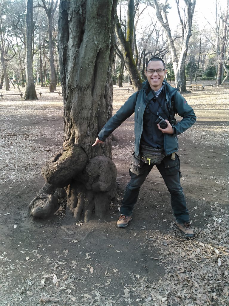 Jeet is inspired by a tree that looks like the Japanese Tanuki…but which part of the Tanuki? Jeet is inspired by a tree that looks like the Japanese Tanuki…but which part of the Tanuki?