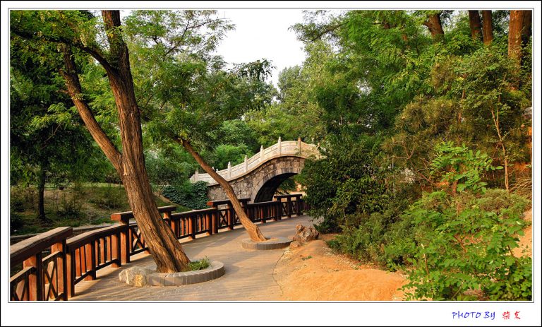 Yuxi Park, a place for Chinese manga creators to relax their brains. Yuxi Park, a place for Chinese manga creators to relax their brains.