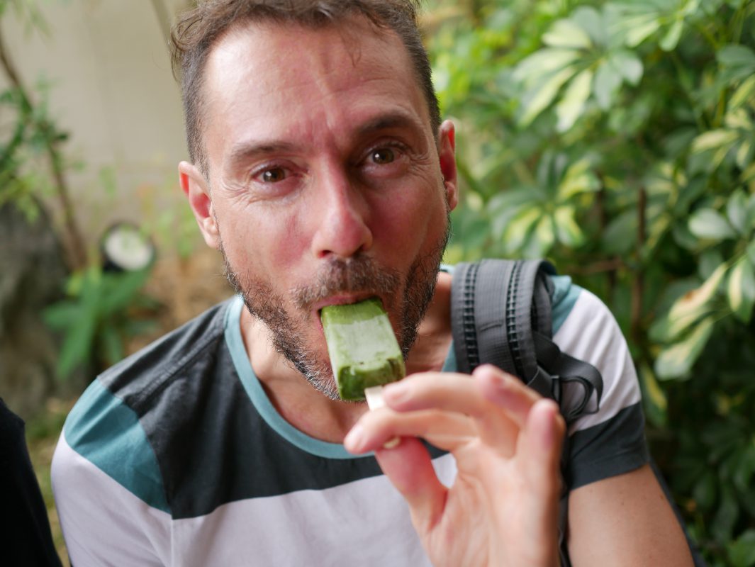 Kenkyo Studio's Havier & Matcha Ice Cream