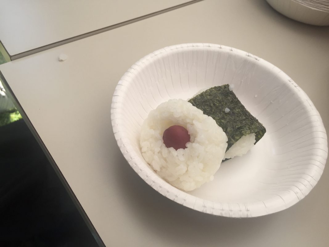Onigiri (5)