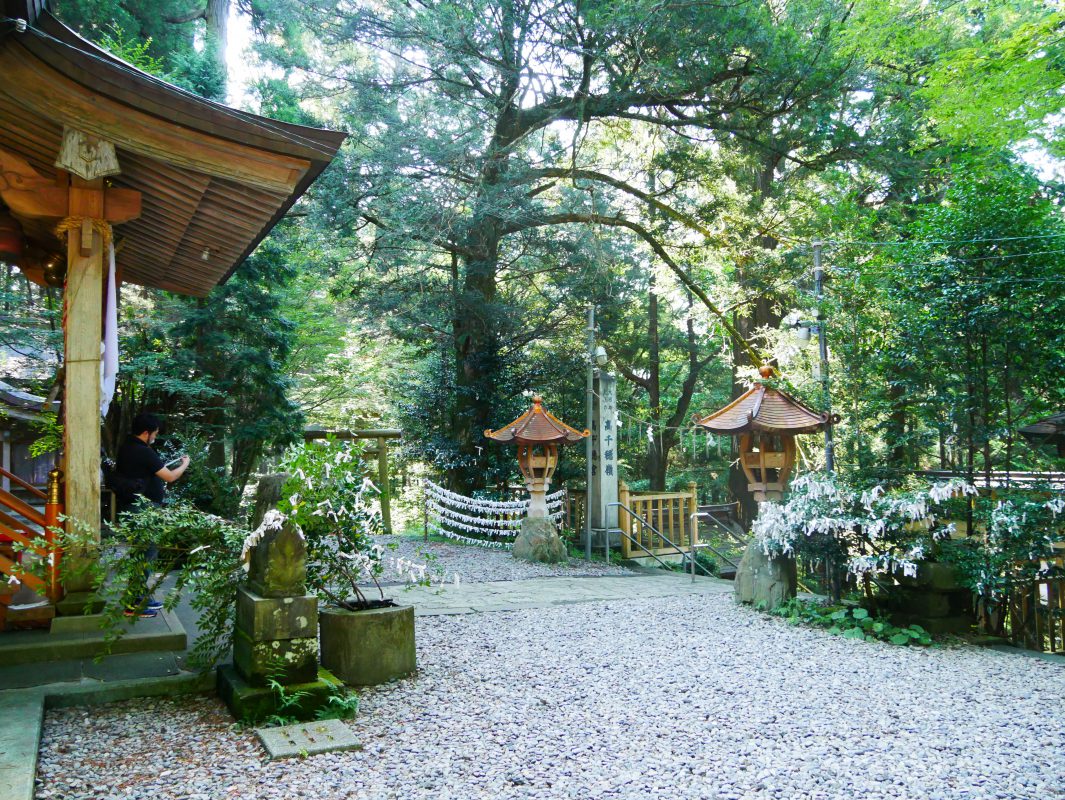 A very nice shot of the internal part of the Shrine
