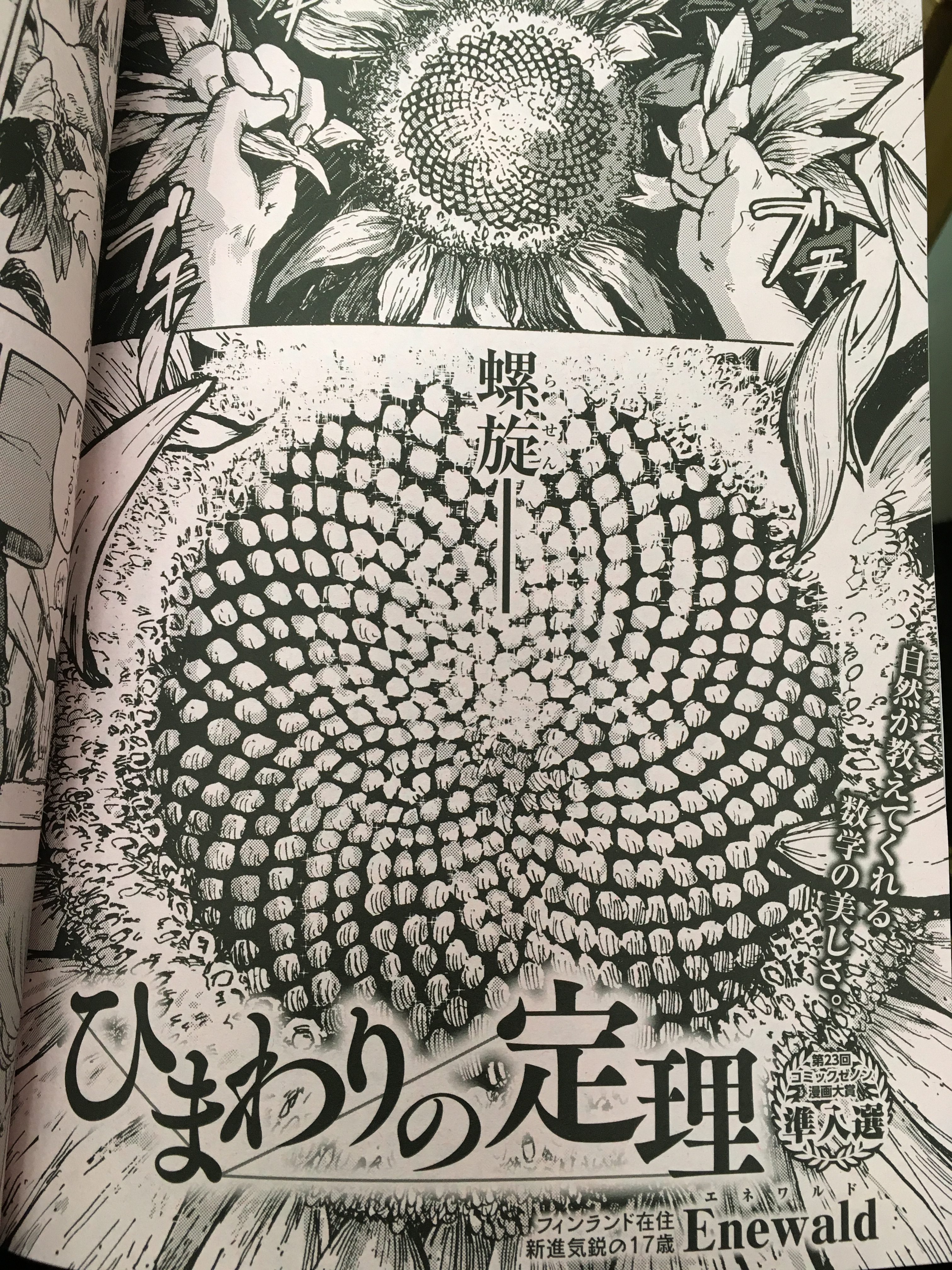 The Sunflower Theorem