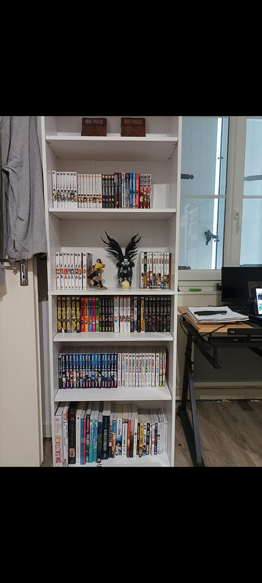 Papouchiko's Manga Collection